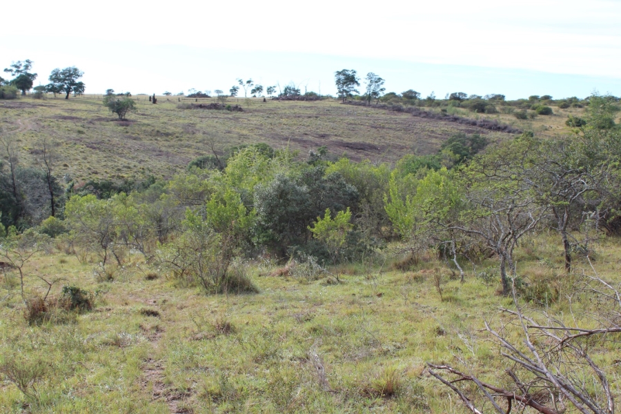 1 Bedroom Property for Sale in Bathurst Rural Eastern Cape